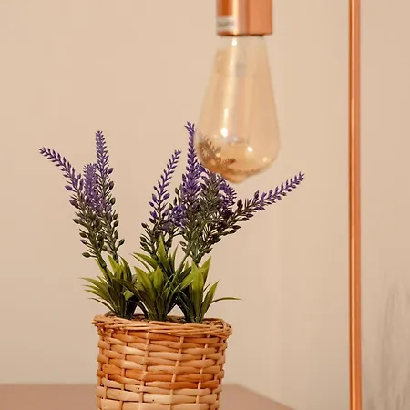 Merliniego Trendy With Desk By Renters * Varsovia